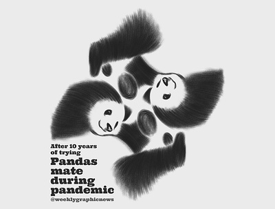 Pandemic mate artwork black white brush design drawing editorial editorial art editorial design editorial illustration illustration news panda panda bear pandemic photoshop symmetry