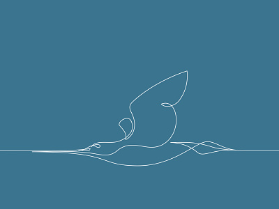 Godwit artwork bird continuous line design drawing editorial flight godwit illustration minimal oneline poster vector world record