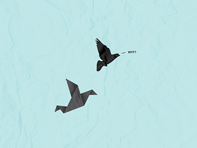 WTF? bird funny origami poster wtf