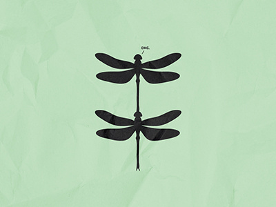 OMG. dragonfly funny omg poster