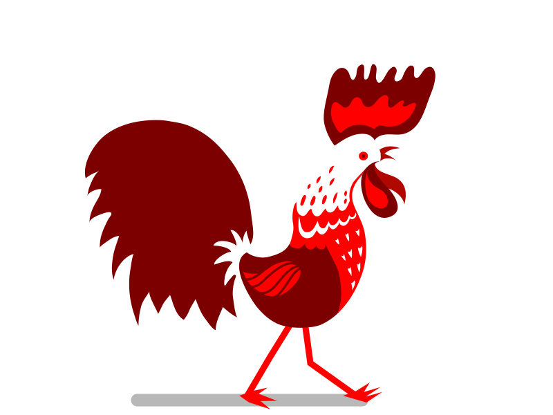 Walking Rooster 2d animation adobeaftereffects animation branding flat logo minimal vector website