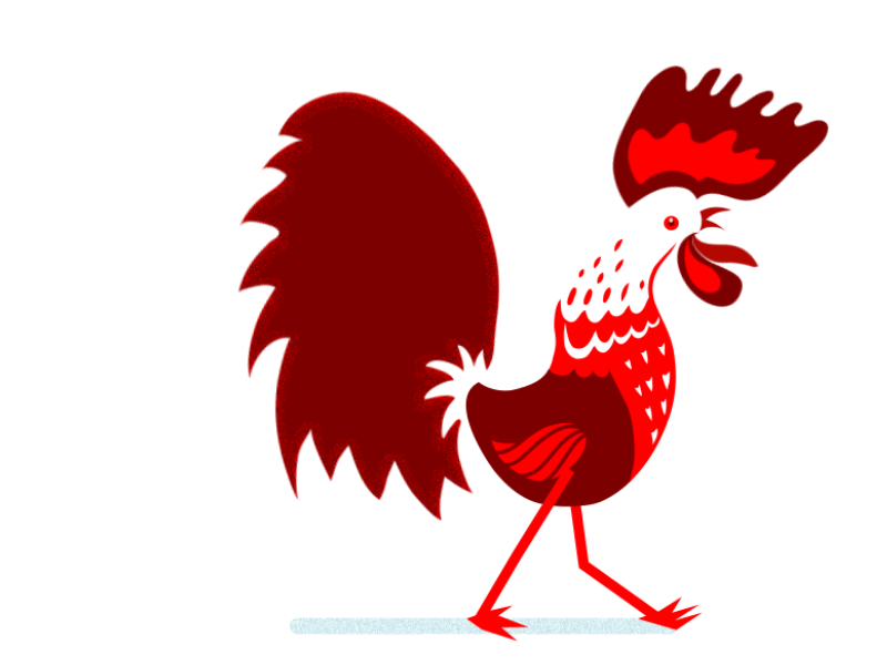 rooster wake up animation