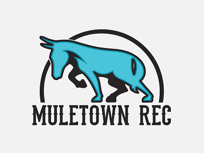 Muletown Rec Brand Update fitness logo mule muletown rec center sports