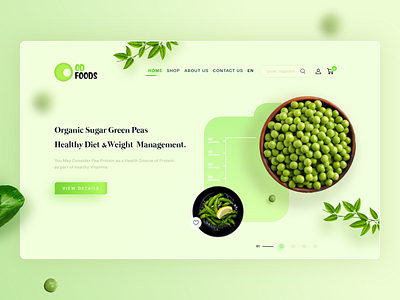 Odfoods Landing page Concept ( 1 st dribble shot)