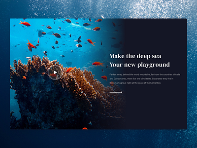 Karang Series - The Deep sea banner banner design banners branding design graphic design illustration ui ux web web design web site