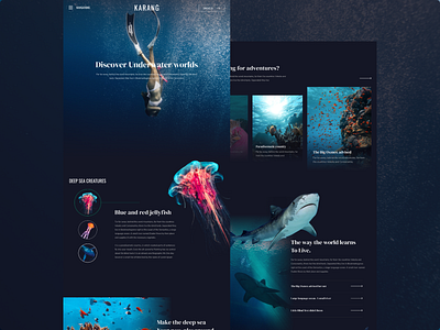 Karang series - web design ( discover underwater worlds ) banner banner design banners branding design graphic design illustration logo ui ux web