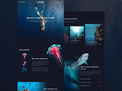 Karang series - web design ( discover underwater worlds )