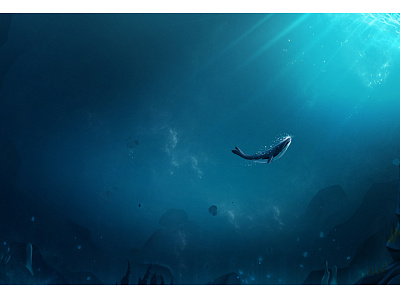 Whale animal color deep home illustration landscape motion graphics ocean stone under water whale work