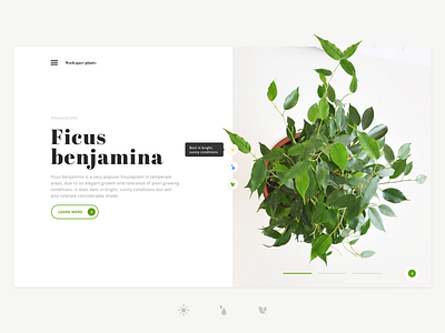 Workspace plants design icons landing page typography ui ux workspace