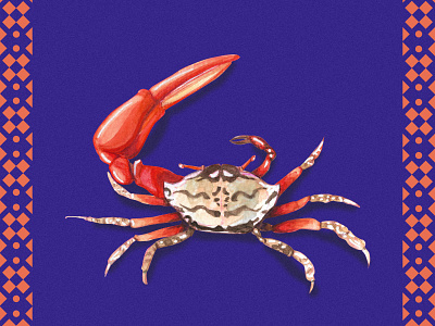 Fiddler Crab animal crab editorial illustration illustration art illustrator marine natural history watercolor watercolor art watercolor painting watercolour