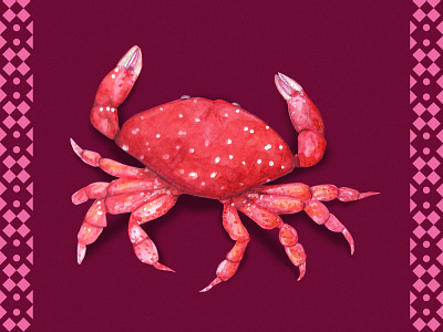 Strawberry Crab animal animal illustration concept art crab design editorial illustration flamboyant illustration istanbul marine life seashell watercolor