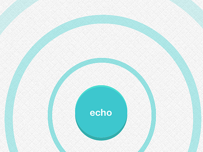 echo by Lookout