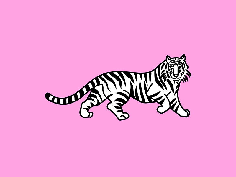 Tiger vector korea animal style sketch retro poster pink minimal ipad illustrator drawing digital art design character illustration