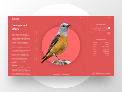 Red Book bird book design red ui ux web website