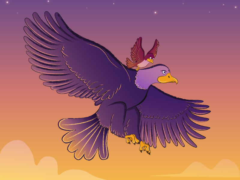 Birds flying at sunset. Vector Illustration sunset fly eagle birds drawing art digital artist illustrator adobe illustration vector