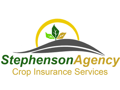 Stephenson Agency branding design logo logo design