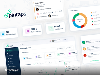 Pintaps (Web dashboard to manage your team) app illustration ui ux website