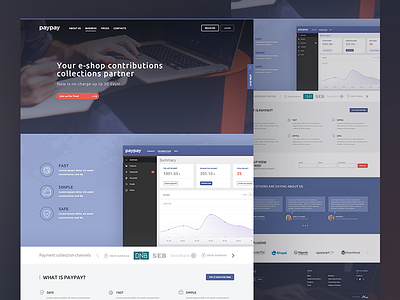 paypay homepage analytics dashboard bank landing page bootstrap layout credit debit card finance product money startup payment transaction responsive grid simple clean interface ui ux website interface design website ui