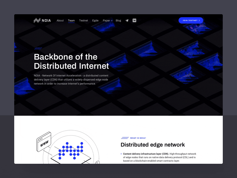 NOIA - Backbone of the Distributed Internet bitcoin blockchain website content delivery cryptocurrency crypto dark landing page ui decentralized network ico landing page internet ico minimal clean design token site ui ux
