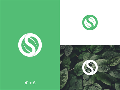 S + Leaf Concept bold brand identity branding design identity illustration leaf logo logo logo design minimalism modern logo simple