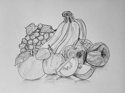 Fruit sketch