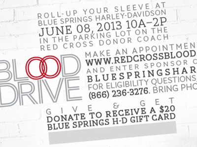 BSHD: Blood Drive 2013 - v1