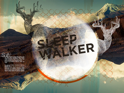 Sleepwalker