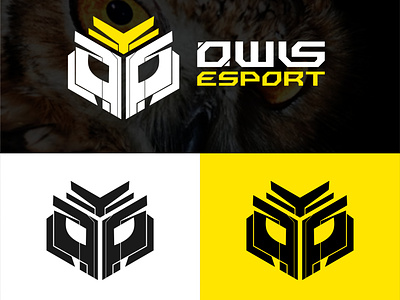 OWLS | Minimalist logo branding design esport logo illustration logo mascot logo mecha owl minimalist logo owl brand owl logo owl mascot rdcl redicul vector