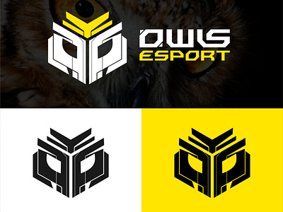 OWLS | Minimalist logo