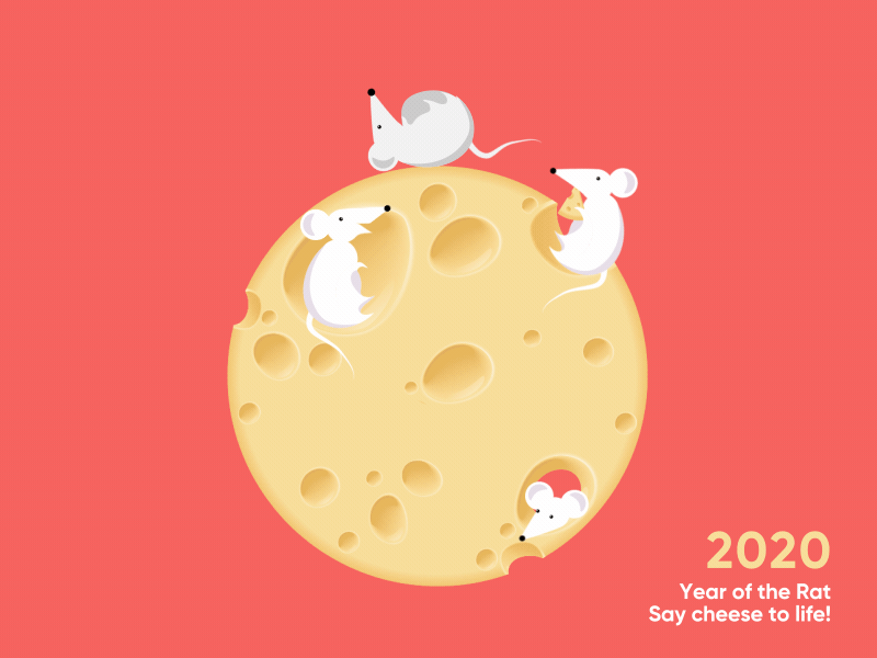 2020 2020 after effect animation animation 2d app branding cheese christmas design flat icon new year 2020 rats year ui ux