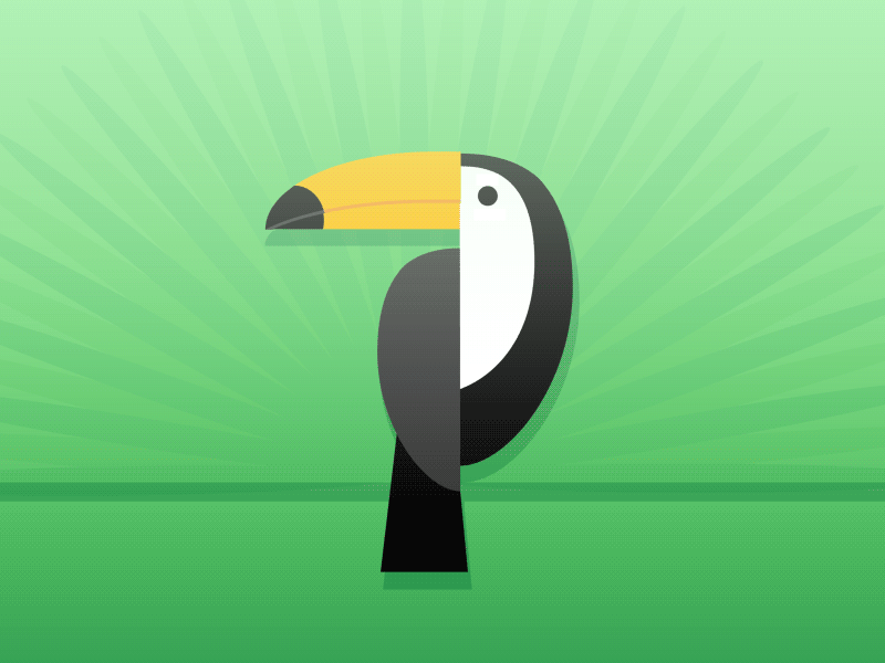 Toucan animation 2d animation bird flat green illustration jungle motion preload preloader toucan vector