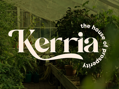 Kerria - Brand Identity Guideline