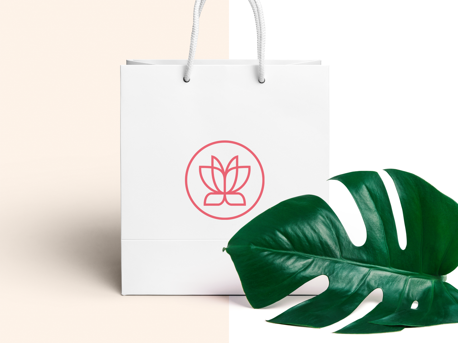 butterfly bolsas website