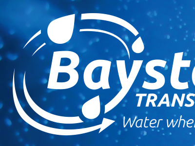 Bayston Mono Logo