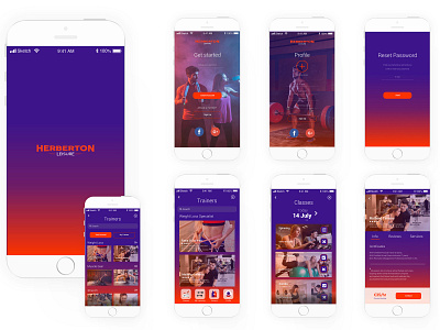 Herberton Leisure - UX case of study