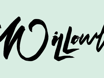 willow brush lettering logo script