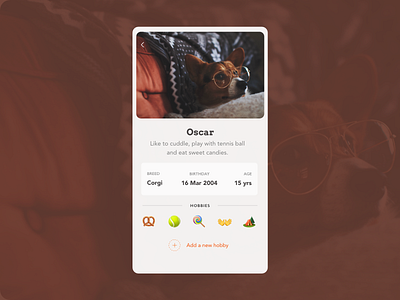 Daily UI 06 - User Profile adobexd daily ui dailyui design madewithxd mobile design ui ux