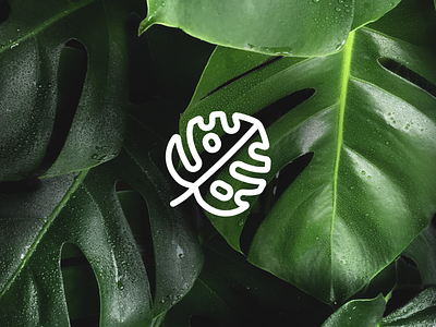 Vida Beauty Leaf branding design icon icon design iconography illustration lockup logo stamp vector