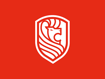 Lion badge design icon iconography