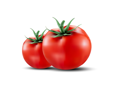 Tomato vector fresh fruit fruit red tomato red tomato vector tomato tomato illustration tomato vector vector vector creation