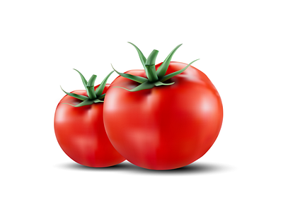 Tomato vector