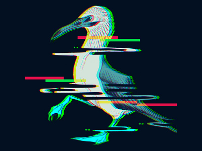 Glitchy Bird