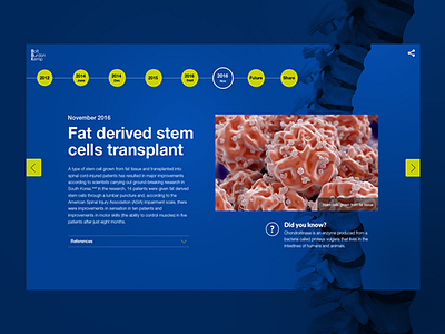 "Spinal cord repair" timeline for BBK blue dates health history timeline