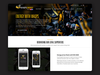 Wasps Energy