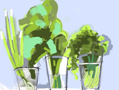 Green onions on the window sill illustration procreate still life