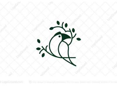 Nature Toucan Linear Logo animal logo animals best bird eco ecological ground identity linear linearlogo logo logoground nature toucan unique