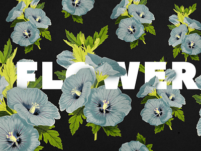 Flower power flower text flowers illustration pattern pattern design photoshop text typogaphy