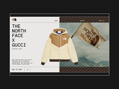 THE NORTH FACE x GUCCI — Product