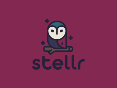 stellr branding clean colorful design flat icon iconography illustration logo logomark logotype minimal modern vector vector artwork