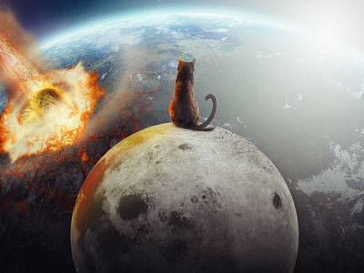 Cat Victory cat earth moon photo photomanipulation photoshop the end
